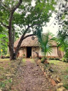 Encantadora Villa Maya tradicional en Rancho Agroecologico