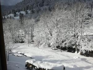 Maisons de vacances Gite La Bresse, 5 pieces, 11 personnes - FR-1-589-86 : photos des chambres