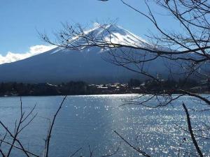 Away From Noise,View Fuji Mt In The Designer House