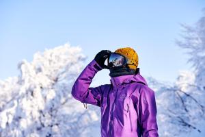 Hotel Silk Inn Madarao