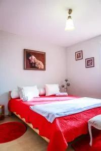 cavalibre-mesquer - Mesquer