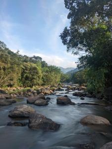 Ayursakthi Riverdale