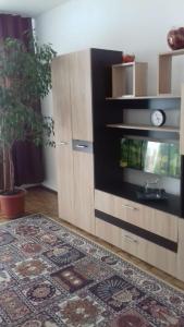 Apartament 2 camere Blaj Str Avram Iancu Bl 9