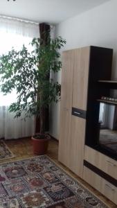 Apartament 2 camere Blaj Str Avram Iancu Bl 9