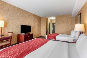 Comfort Inn