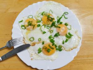 Pałac Koronny Noclegi & Wypoczynek