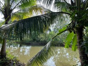 Sonne farm house บ้านสวนซอนเนอรีสอร์ต