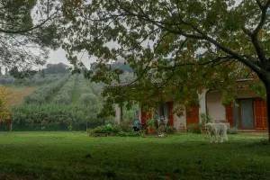 Casa Sophie Affittacamere - Loreto