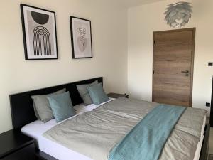 Apartmán v Krkonoších - Černý Důl