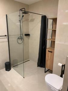 Apartmán v Krkonoších - Černý Důl