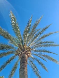 Modern House with large pool!