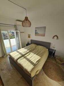 Modern House with large pool!