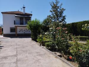 VIVIENDA RURAL HUERTA DEl MEDIO