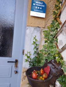 Appartements Au charmant chablis : photos des chambres