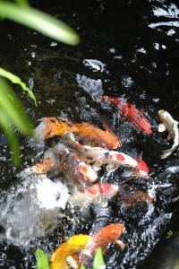 Le Robinet Villa - a journeyHue citadel soul