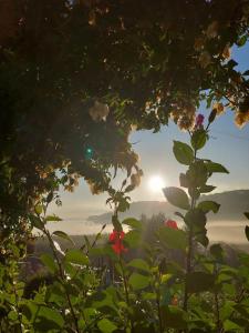 Appartamento Skipper