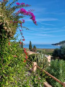 Appartamento Skipper