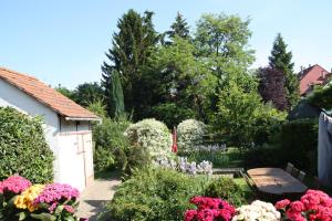 Maisons de vacances Superbe maison avec jardin magnifique! : photos des chambres