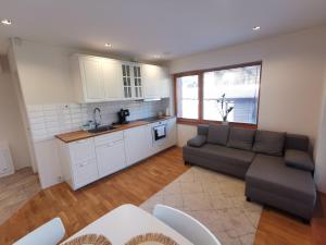 Vytauto 423 Apartments by JK