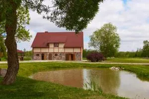 Juku Dzirnavas - Auny