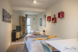 Appartements Petit studio hypercentre d'Orleans avec jardin : photos des chambres