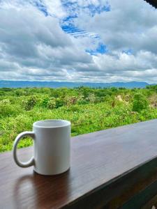 Complejo Ecoturistico Rancho Cielo