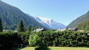 studio residence Grands Montets