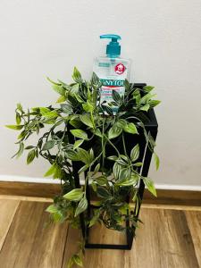 Altheda Living Tineretului E8