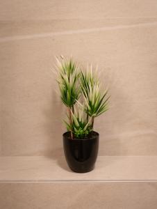 LINA - PG, 2 Bedroom Apartment