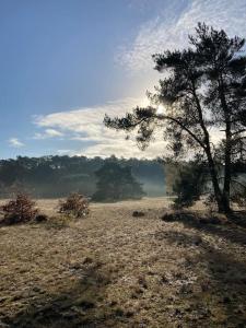 Delightful luxury 2-bedroom holiday home in nature