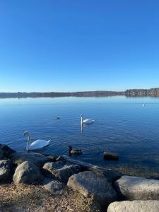 See-Appartement Wörthsee