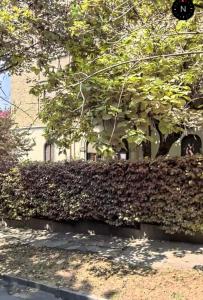 Loft Crimea con patio