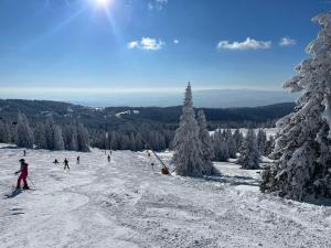 Ski&Spa Milmari L17