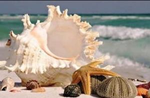 Residenza N&D Luxury