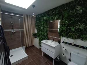 Appartements Evasion avec jacuzzi interieur : photos des chambres