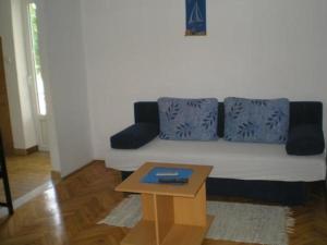 Apartment in Biograd na Moru with Terrace, Air conditioning, Wi-Fi 4801-1