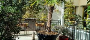 Hotels Logis Hotel Schaeffer- Restaurant Le Saint Georges : photos des chambres