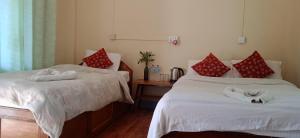 Crocodile Safari Camp