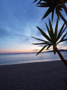 Appartements Frejus plage T2, piscine, parking, plages a 200m : photos des chambres
