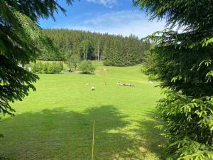 Biala Perla Sunny Mountain 601