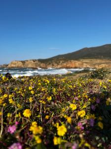 Granny's House img17