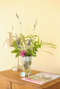 5 Seasons Guest House