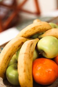 5 Seasons Guest House