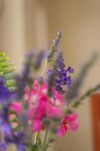 5 Seasons Guest House