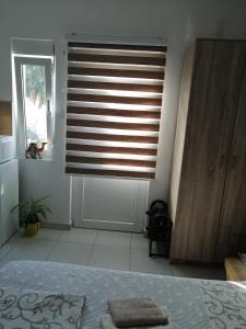 Apartments Željka-Dobrota