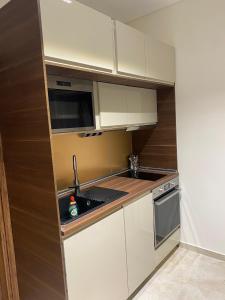 Ag.Sofias pedestrian area luxury ap. & big balcony