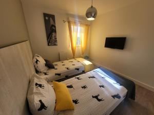 Appartements Le Palmier d'Azur - Frejus Cais - Wi-Fi : photos des chambres