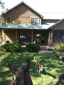 Happy Ass Farm - Sheldon