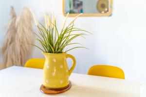 Larimar 101 - Bayahibe