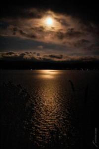 Cabaña Colibri naturaleza vista Laguna de la Cocha